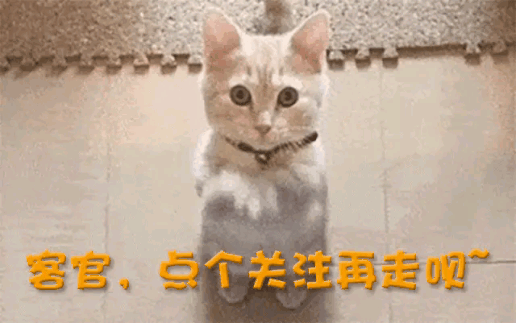 一中产最爱的电商平台停运曾叫板淘宝！J9国际集团烧光3000万美元！又(图11)